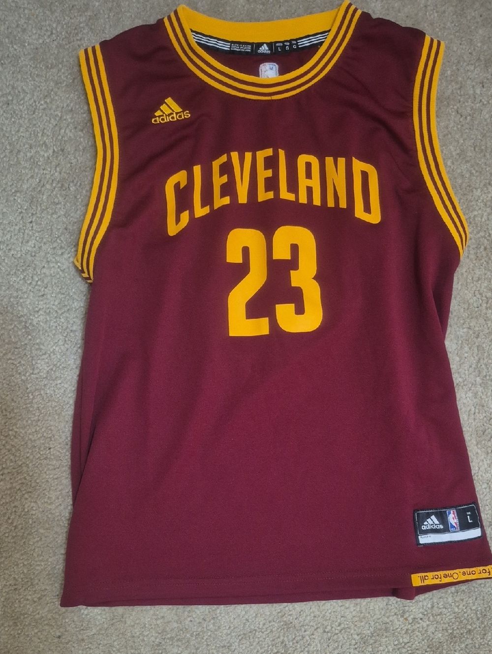 LeBron James Cleveland Cavaliers Adidas Swingman Jersey All For One Size Large